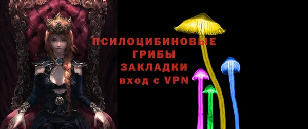 ешки Няндома