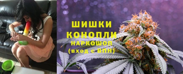 гашик Нягань