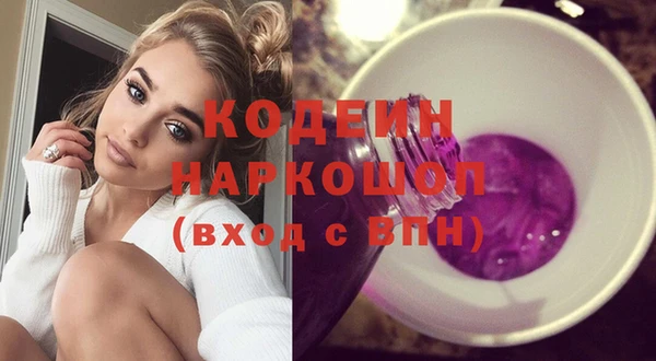 ешки Няндома